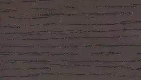 Образец № 19